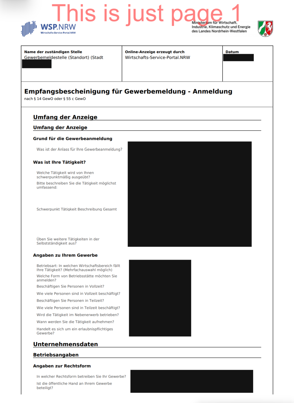 DE sole trader business registration