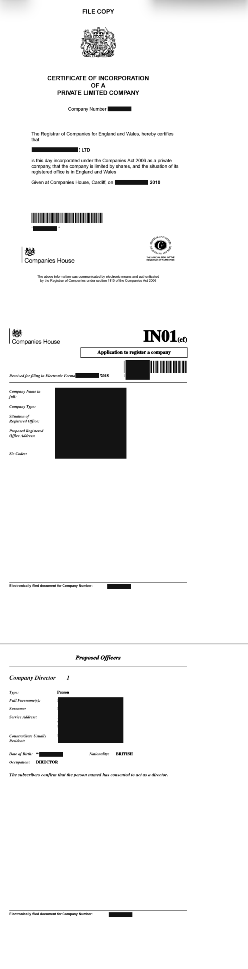 GB business registration extract