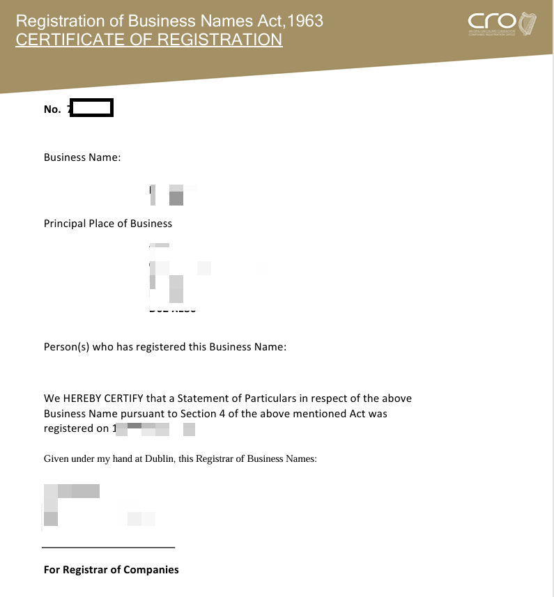 IE business registration extract correct