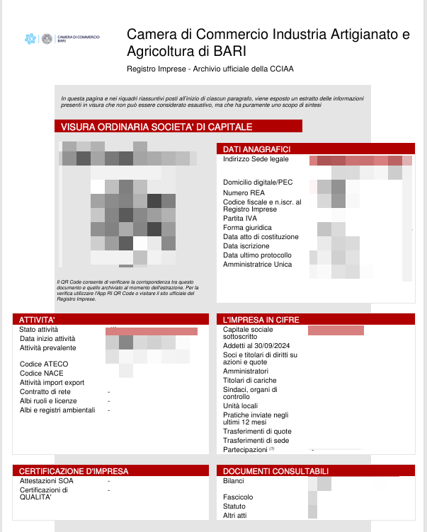 IT business registration extract